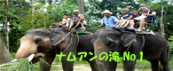 象に乗るなら川を歩こう！