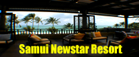 newstar