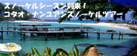 タオ・ナンユアンスノーケルツアー