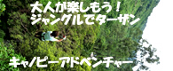 ジャングルの上を滑走しよう！